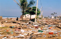 Durch einen Tsunami verwüsteter Küstenabschnitt in Sri Lanka