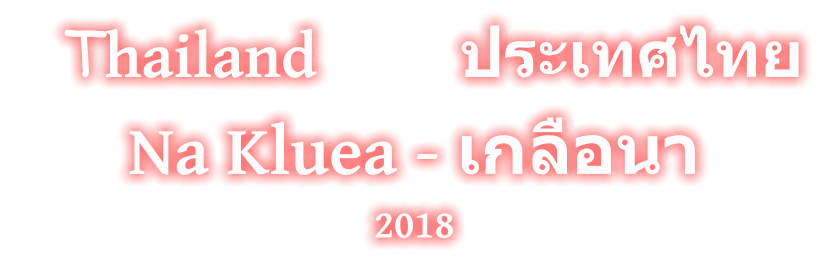 Thailand         ประเทศไทย Na Kluea - เกลือนา 2018